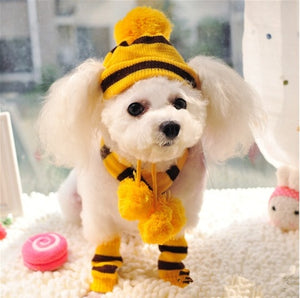 dog puppy pet accessories winter knit hat scarf striped socks little little cat animal products yorkie chihuahua