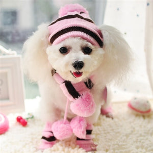 dog puppy pet accessories winter knit hat scarf striped socks little little cat animal products yorkie chihuahua