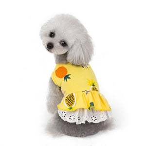 2019 Hot Products Pet Dog Bottoming Pineapple Print Dress Clothes Cat Lace Breathable Dress family Home Accessories