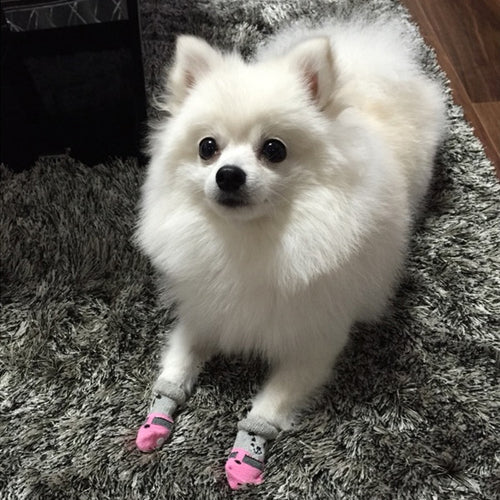 Dog Cotton Socks 4Pcs Pet perros Product Puppy Dogs Pet Knits Warm Socks Anti Slip Skid Bottom Socks For Small Dogs